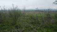 VT 57569 - Land urban for construction for sale in Sopor, Cluj Napoca