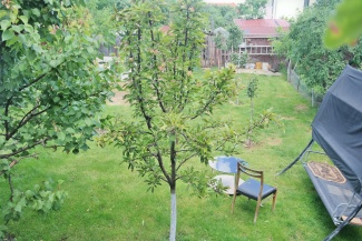 VC7 59117 - Casa 7 camere de vanzare in Someseni, Cluj Napoca