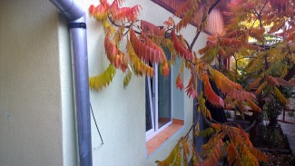 VC3 63949 - Casa 3 camere de vanzare in Grigorescu, Cluj Napoca