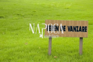 VT 65758 - Land urban for construction for sale in Grigorescu, Cluj Napoca