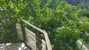 VA2 75309 - Apartment 2 rooms for sale in Gheorgheni, Cluj Napoca