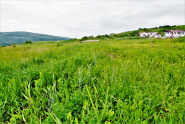 VT 84554 - Land unincorporated for construction for sale in Popesti