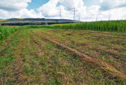 VT 86760 - Land unincorporated agricultural for sale in Floresti