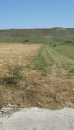 VT 90114 - Land unincorporated agricultural for sale in Bontida