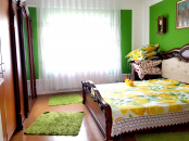 VC4 95520 - House 4 rooms for sale in Dambul Rotund, Cluj Napoca